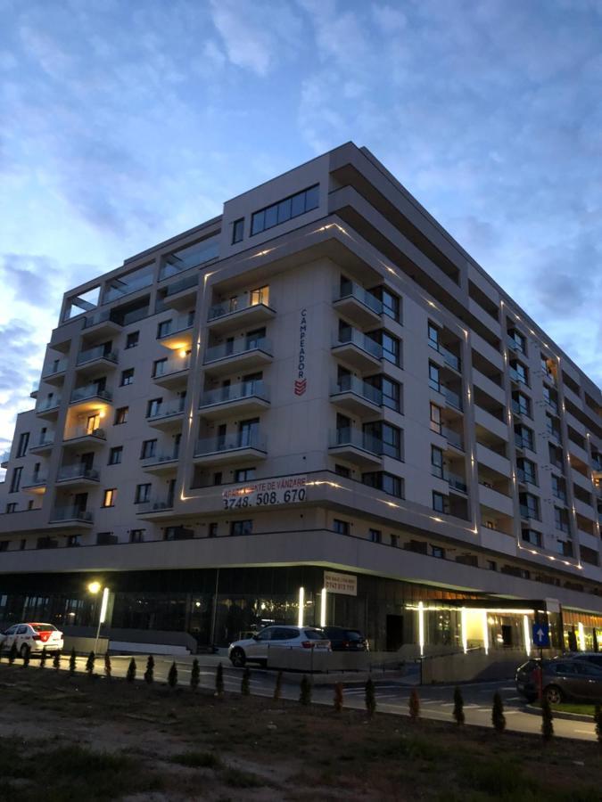 Chronos Apartment - Modern And Stylish ティミショアラ エクステリア 写真